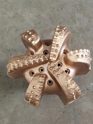Produttore Vendita 17 1-2 ′′ 444,5 mm 6 lame PDC per la trivellazione di pozzi